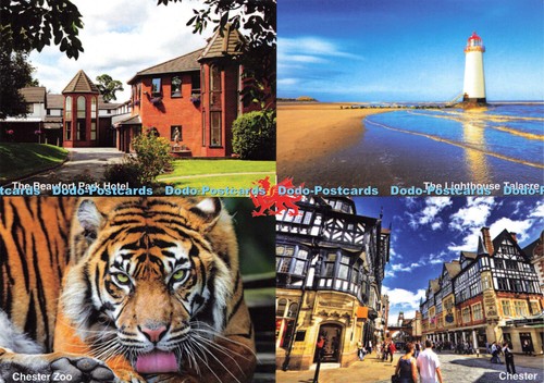 D165575 chester zoo - chester,