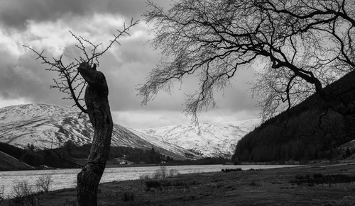 Photo 12x8 loch the - loch, lowes