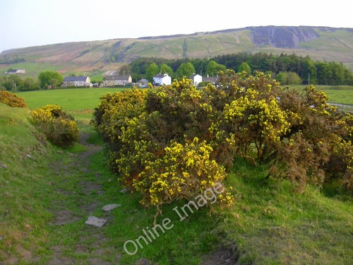 Photo 6x4 cottages - photo, cottages,
